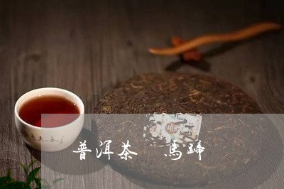 普洱茶 马蹄/2023042899893